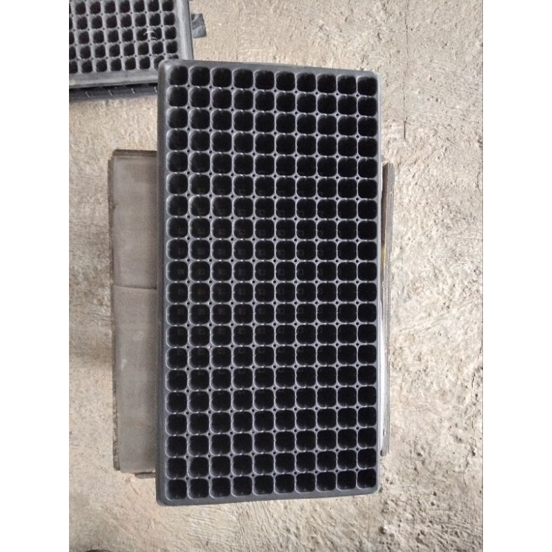 TRAY SEMAI 100 LOBANG