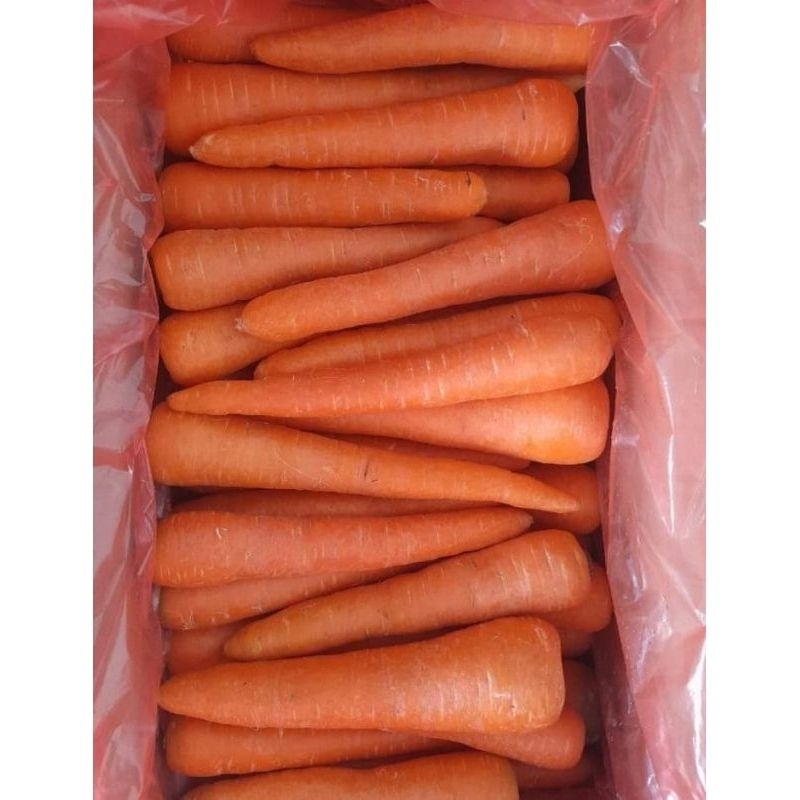 

NASYYA_GARDEN-1Kg Wortel Lokal Lereng Lawu