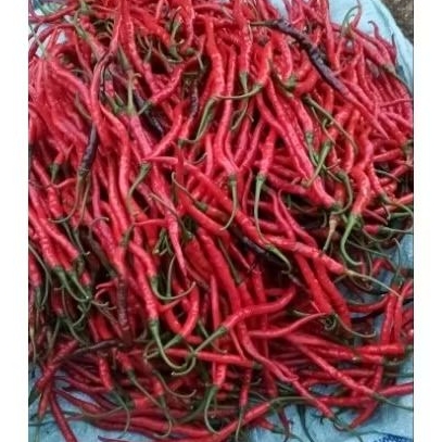 

Cabe Kriting Lokal 1kg