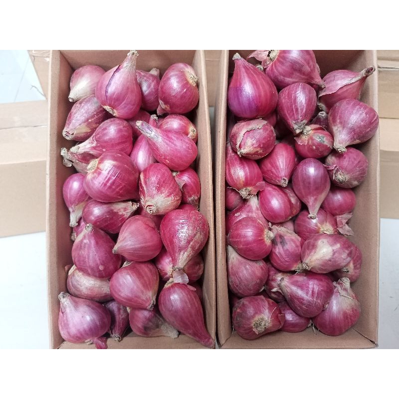 

bawang merah Brebes ukuran besar kering 1kg
