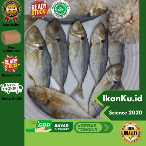 

Ikan Asin Selar 250 gram IkanKu.id