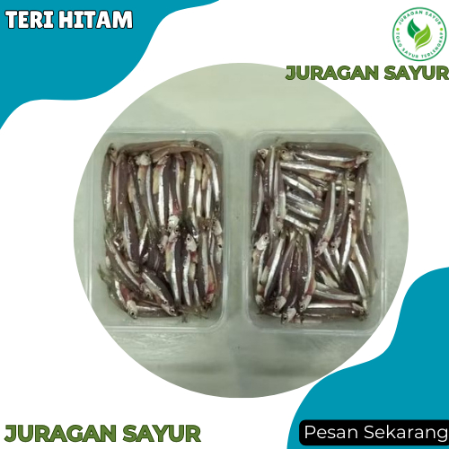 

Ikan Teri Hitam Basah - Ikan Teri Hitam 1kg - Ikan Teri Hitam - Ikan Segar Terdekat - Juragan Sayur