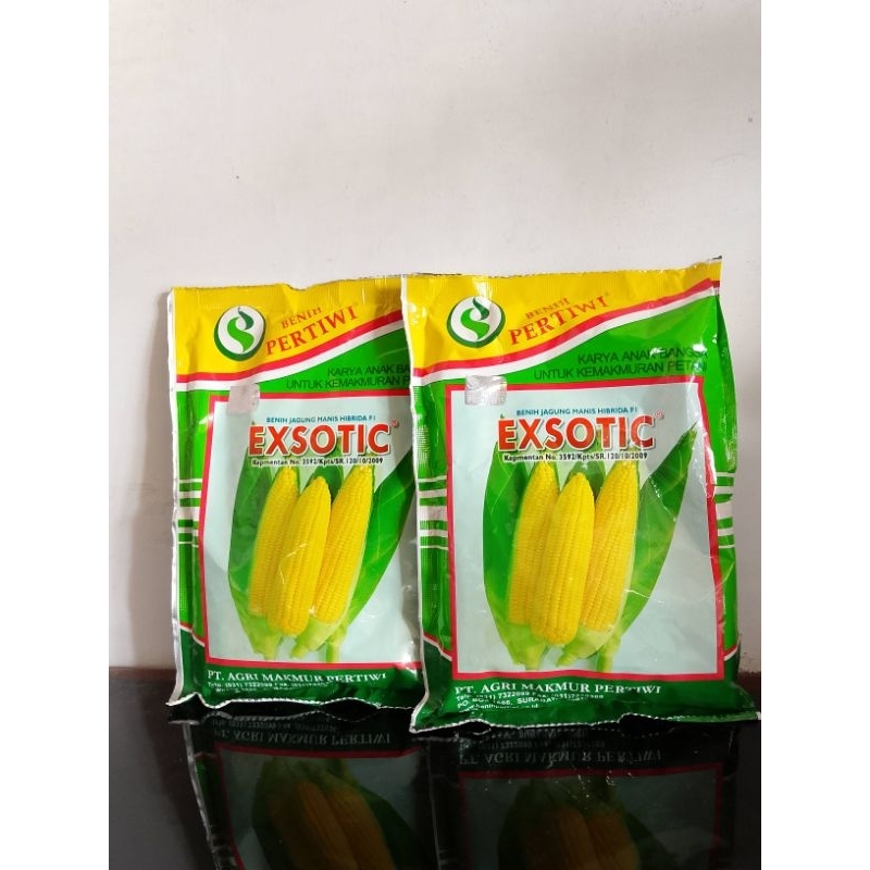 Benih jagung manis exsotic Pertiwi