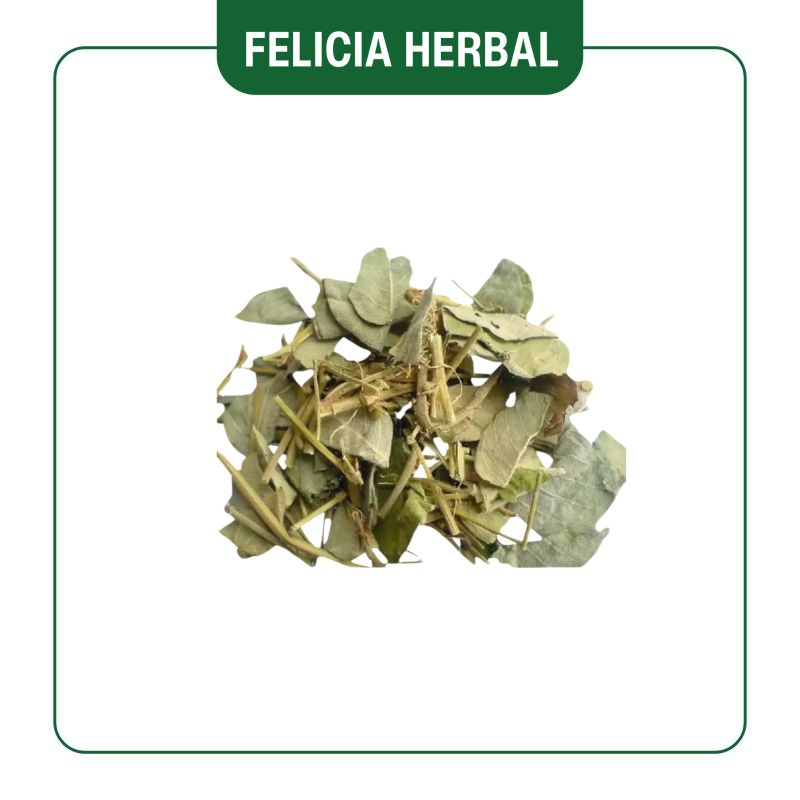 

Jin Quan Cao/金钱草/Desmodium styracifolium