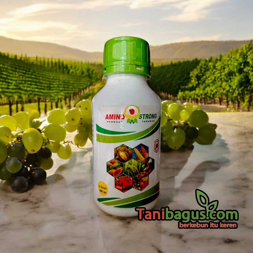 Asam amino vitamin/ nutrisi tanaman amino strong isi 500ml