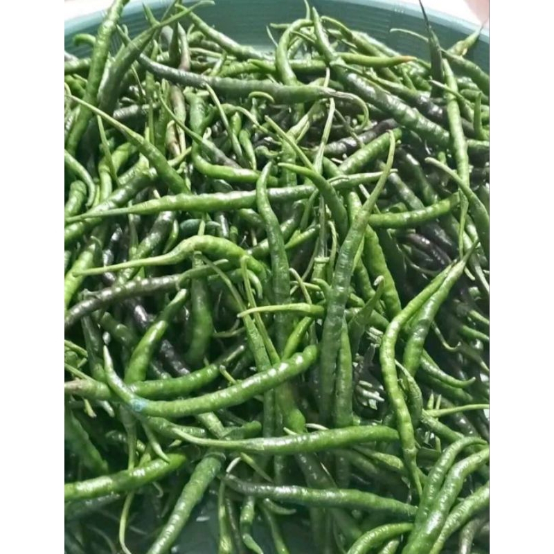 

INSTAN - CABE HIJAU CABAI IJO KERITING 500GRAM