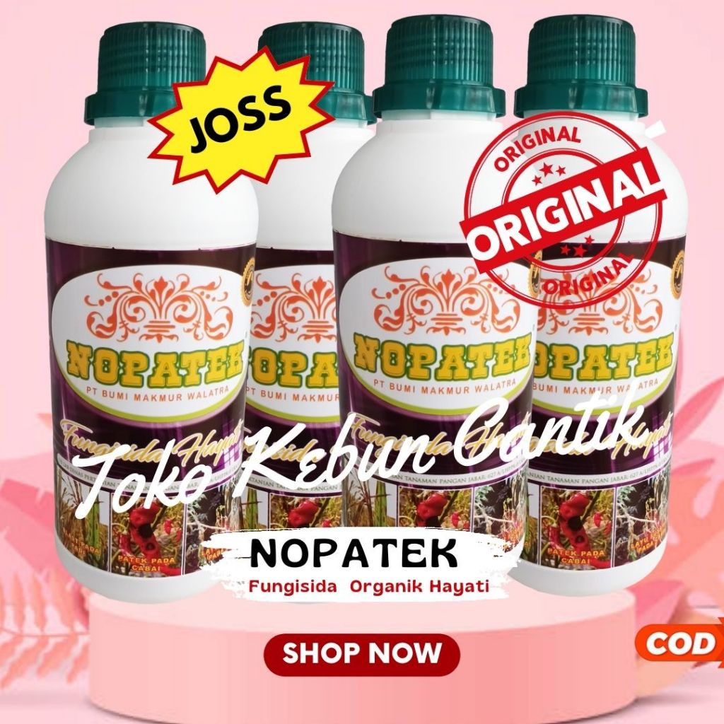 Obat Hama Patek Cabai Fungisida Hayati Nopatek Untuk Cabe Busuk Buah dan Kriting Daun Kuning