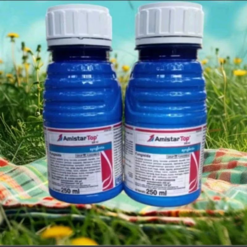 Amistartop 250ml