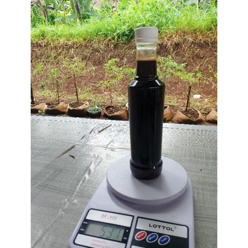 

madu Odeng asli hutan Liar tanah banten 100%asli tanpa campuran