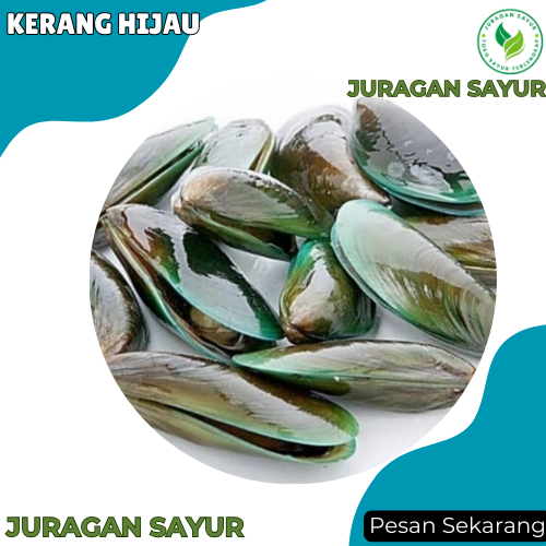 

Kerang Hijau - Kerang Hijau Segar 1kg - Kerang Ijo Segar - Juragan Sayur