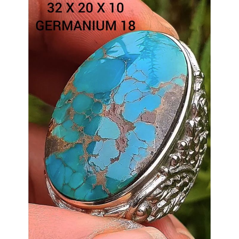 pirus Persia lawasan hijau ceplok kuro