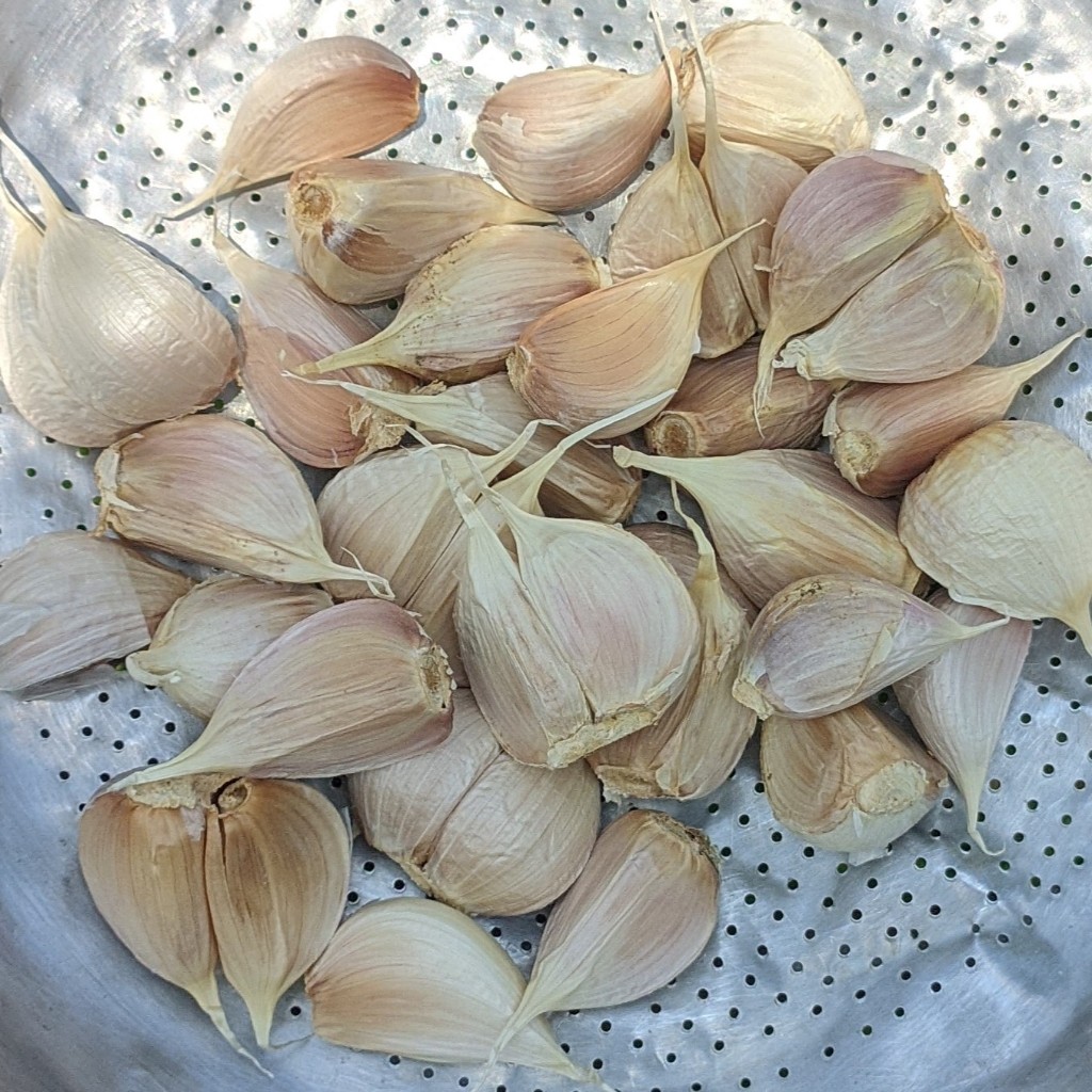 

Bawang Putih Kating 500gram, 250gram Fresh Termurah