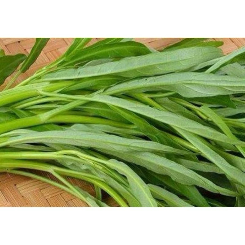 

Sayur Kangkung 1 Ikat Fresh