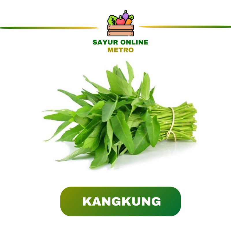 

Kangkung Segar 1 pcs - Sayur Online Metro