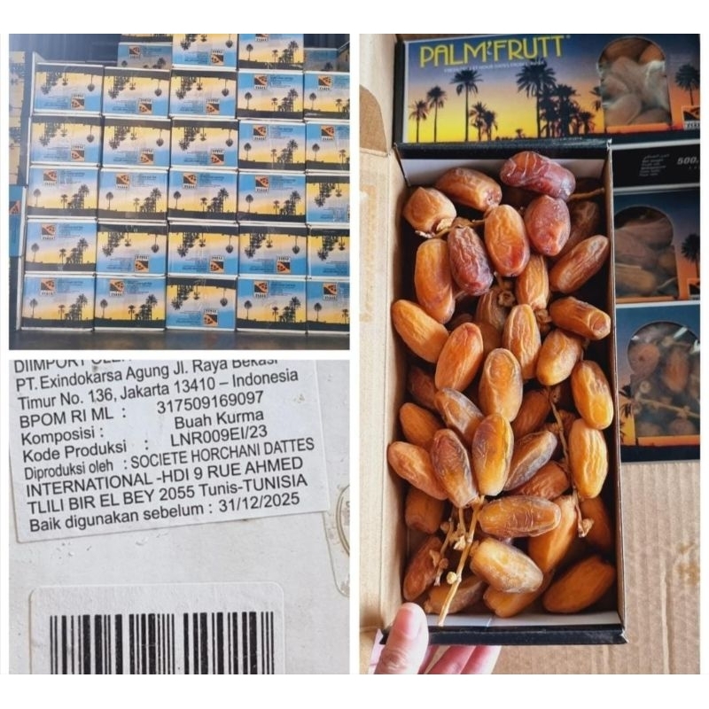 

Kurma Tunisia Tangkai Palm Fruit