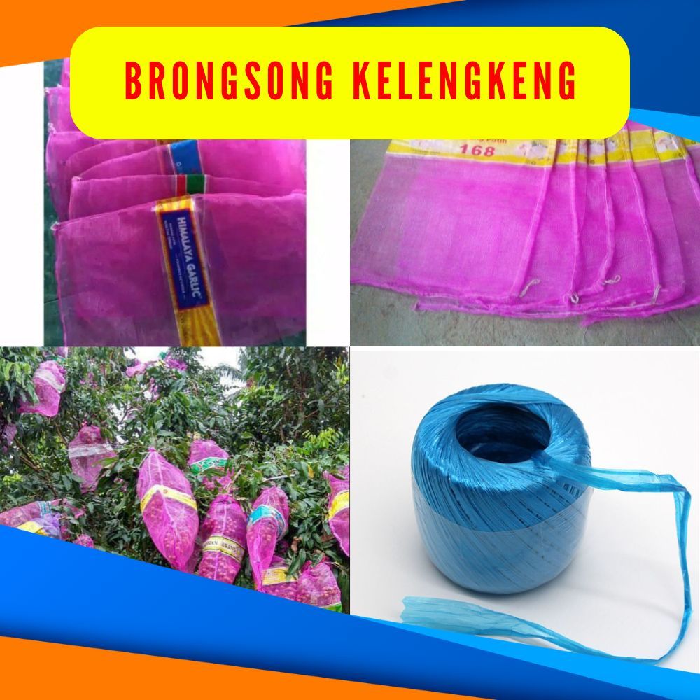 TERLARIS. Brongsong Buah Kelengkeng, Brongsong Kelengkeng Dengan Tali ISI 10PCS