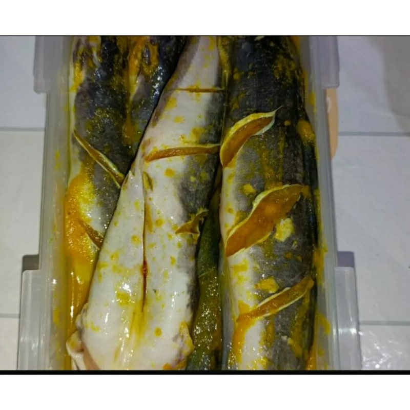 

Lele bumbu kuning