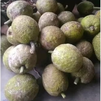 

BUAH SUKUN UNTUK CEMILAN
