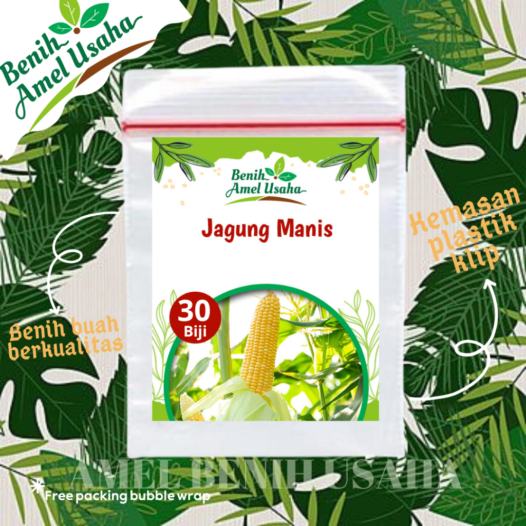 

benih bibit jagung manis super isi 30 biji/benih jagung manis kemasan plastik klip/ bibit jagung manis cepat tumbuh