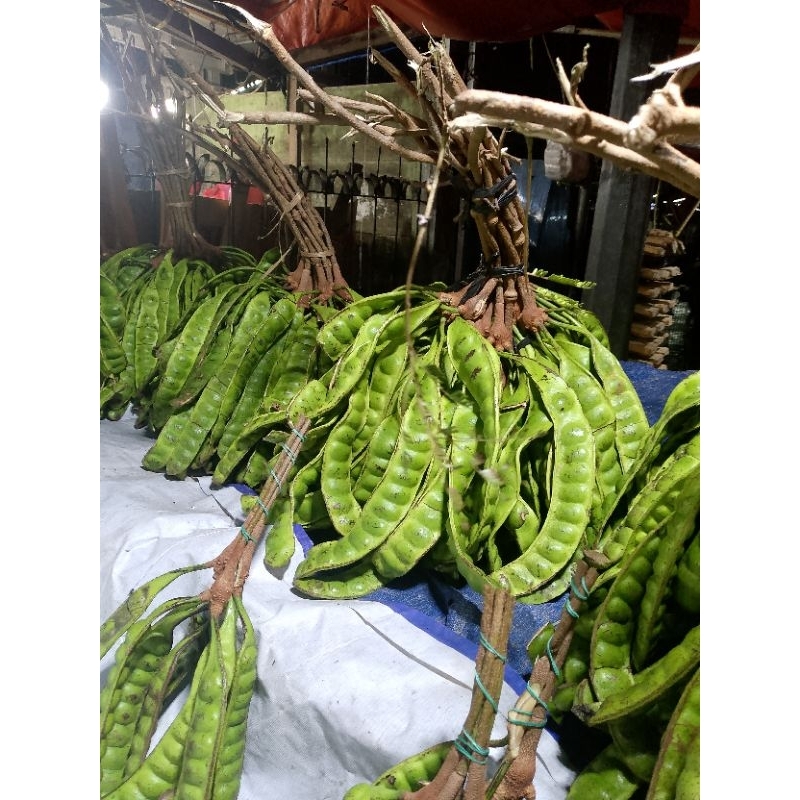 

Pete panjang super Pete Wonogiri isi 1/5/10