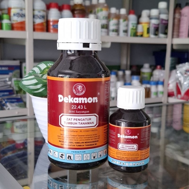 ZPT zpt zat pengatur tumbuh auksin giberelin dekamon decamon