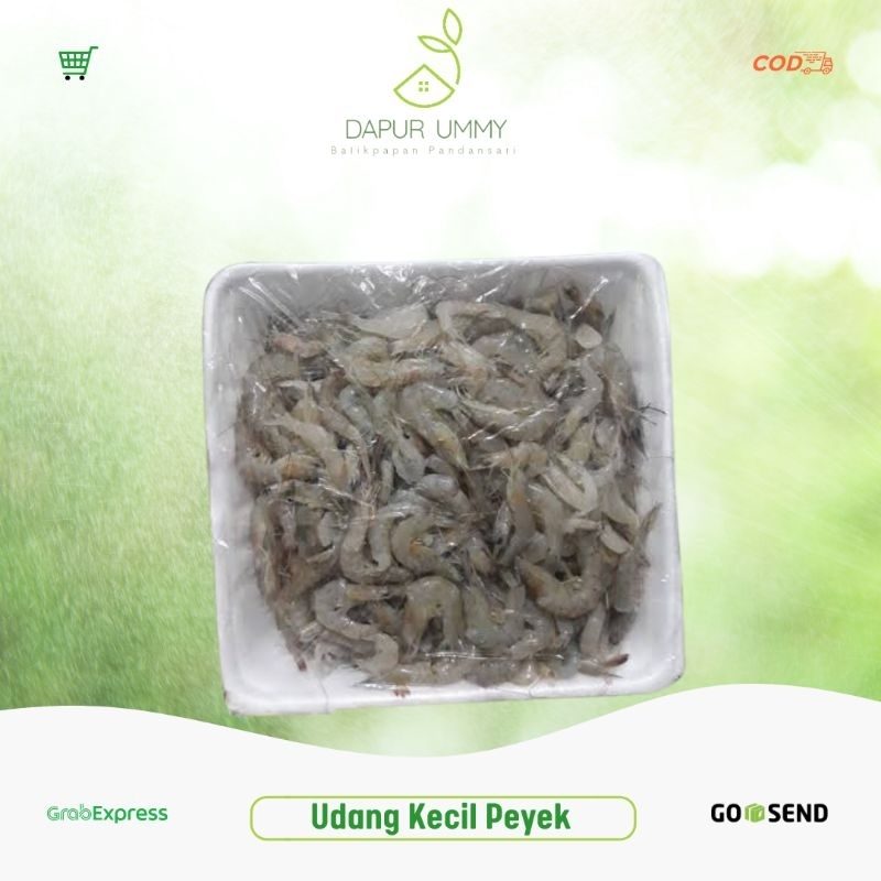 

UDANG KECIL • Udang Kecil 500g