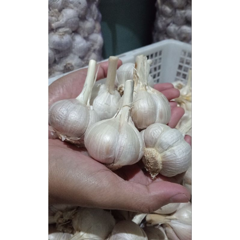 

bawang putih Kateng super A1 bersih 1kg