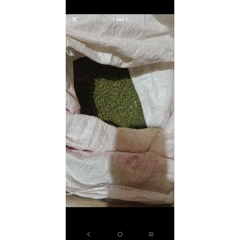 

kacang hijau 1 kg