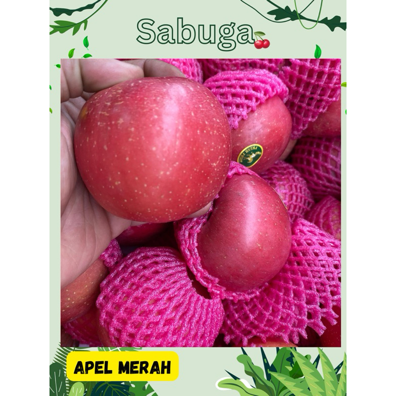 

APEL MERAH FUJI PER 500gr