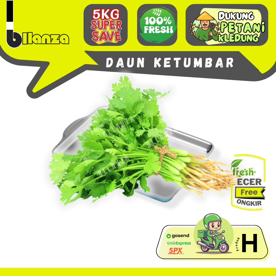 

Bllanza | Daun Ketumbar / Wangsui — Sahabat Makan Sayur ECER (H)