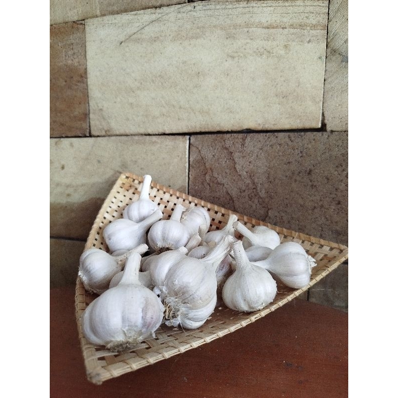 

Bawang Putih Kating / Bawang Putih Import Bersih
