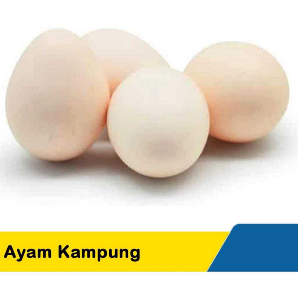 

[ 10 Butir ] Telur Ayam Kampung Fresh