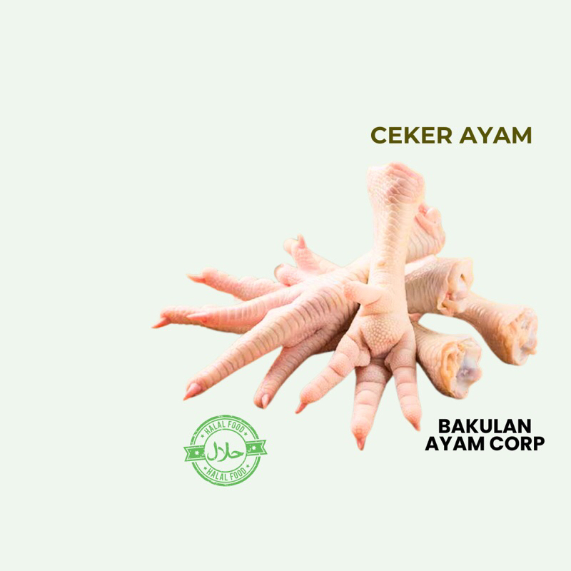 

CEKER Ayam