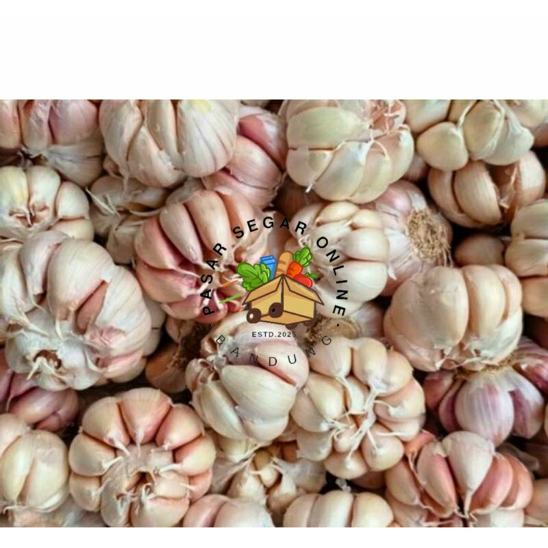 

BAWANG PUTIH GARLIC BUMBU SAYUR PASAR BAHAN MAKANAN SEGAR BANDUNG