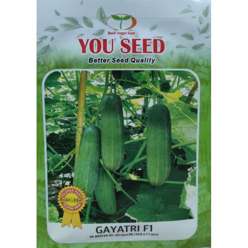 Benih Timun Lalap GAYATRI F1 isi 20 gram