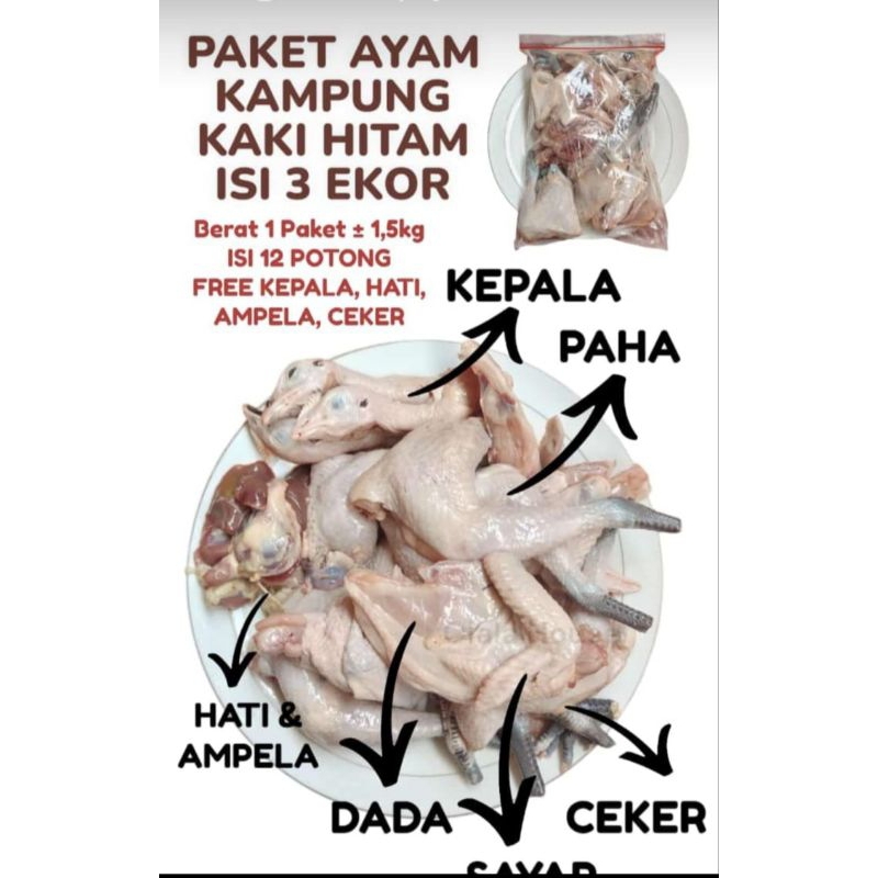 

ayam kampung 3ekor berat 1,6kg