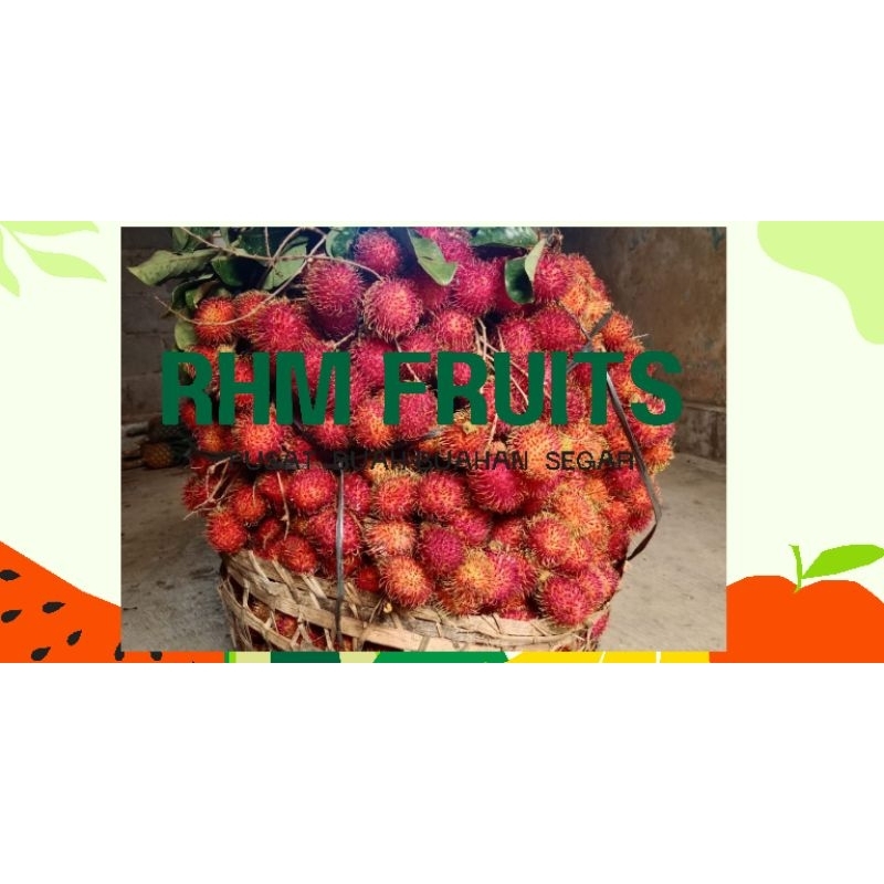 

RAMBUTAN