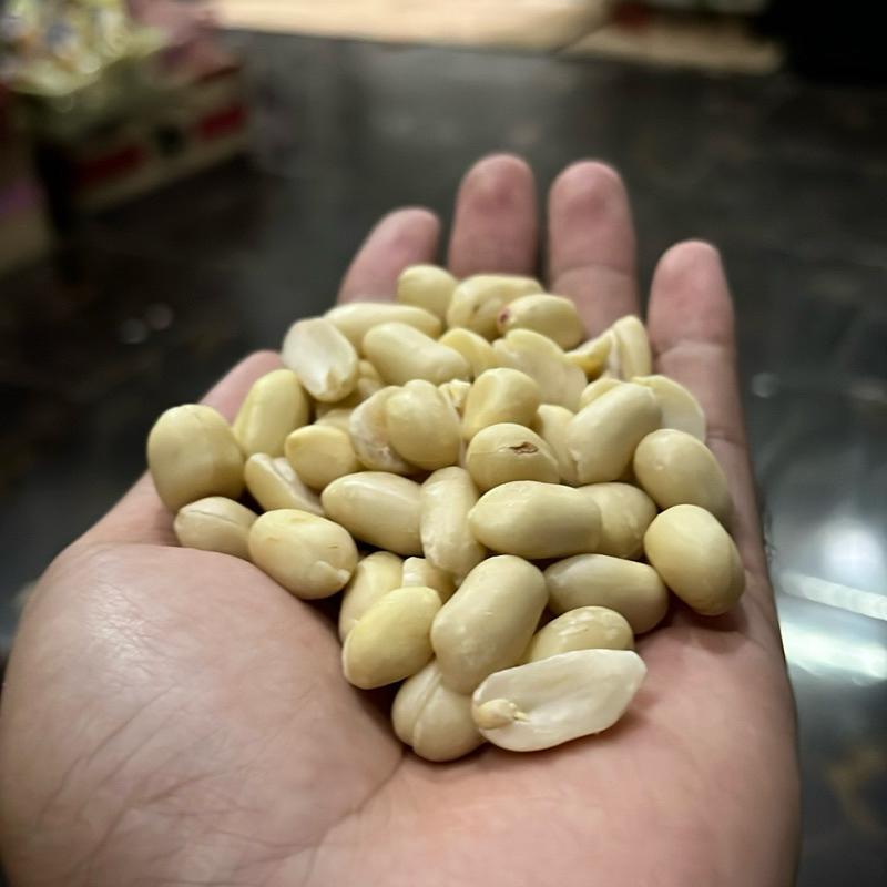 

Kacang Plecet Premium/Kacang Kupas 1kg