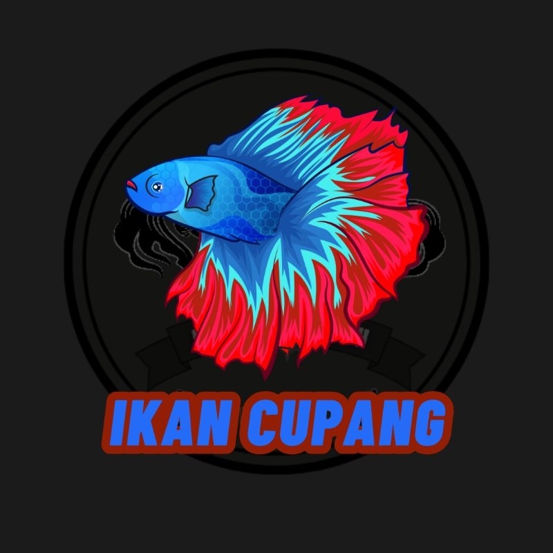 Mainan Cupang | Cupang Betta