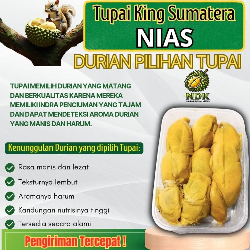 

Ngupas Durian Kupas Tupai King Nias