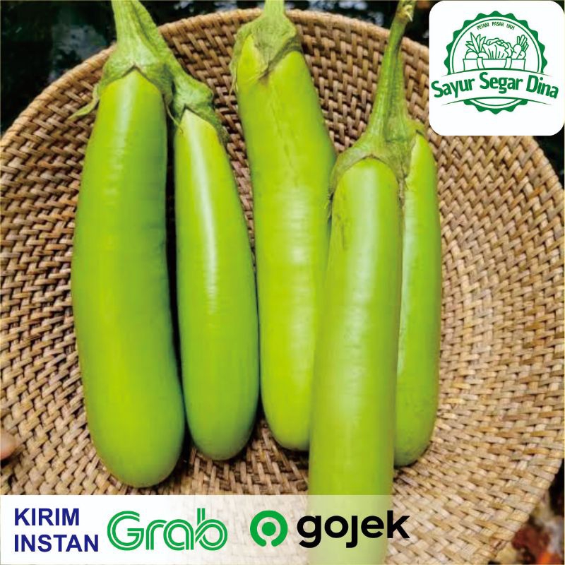 

Terong Hijau Segar - 500 gr