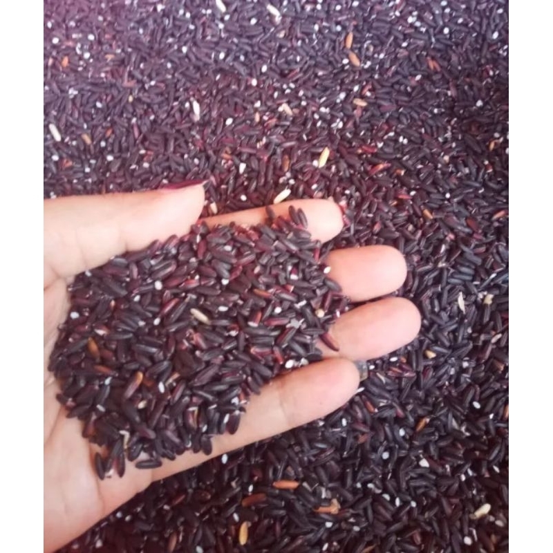 

Beras ketan hitam