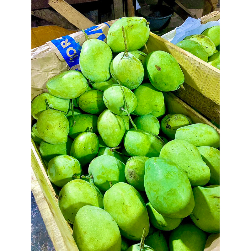 

MANGGA MUDA 1 KG