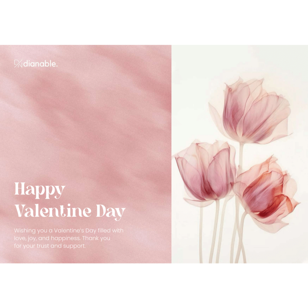 

Dianable - Gift Packaging Special Valentine