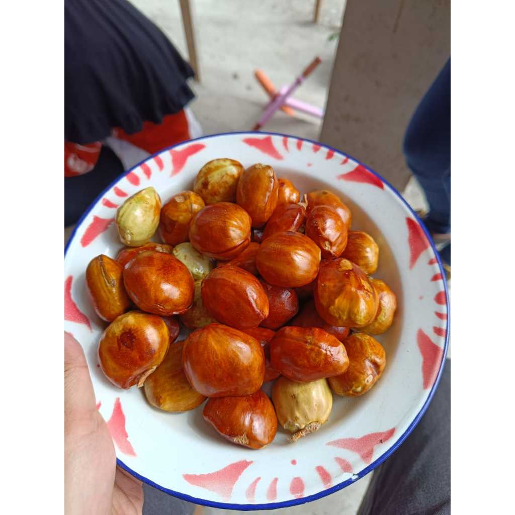 

Jengkol Enak Asli Padang berat 1000 Gram Murah Dengan Kulit