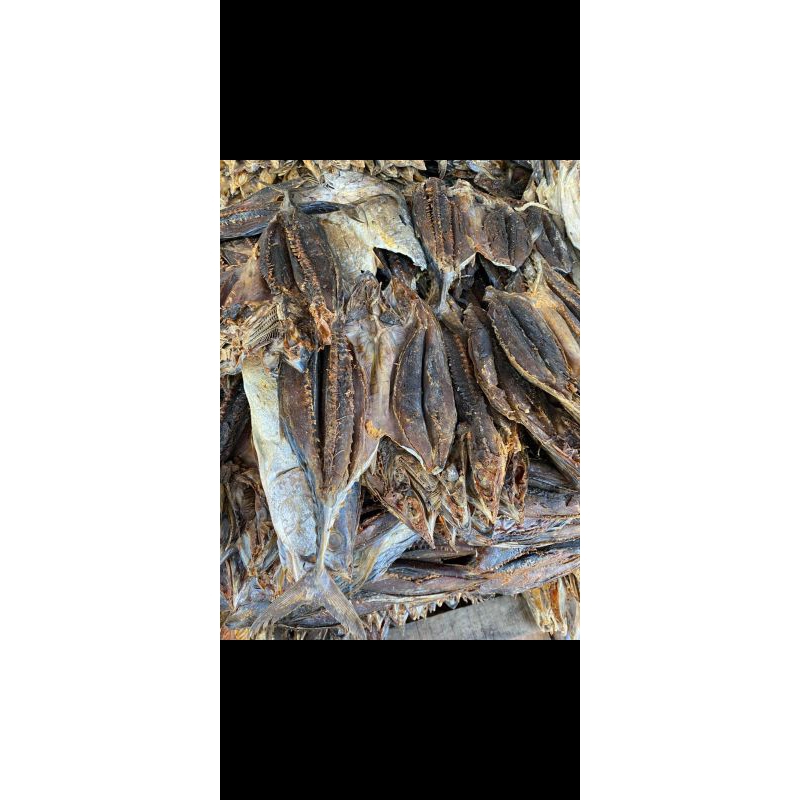 IKAN ASIN TONGKOL 1KG