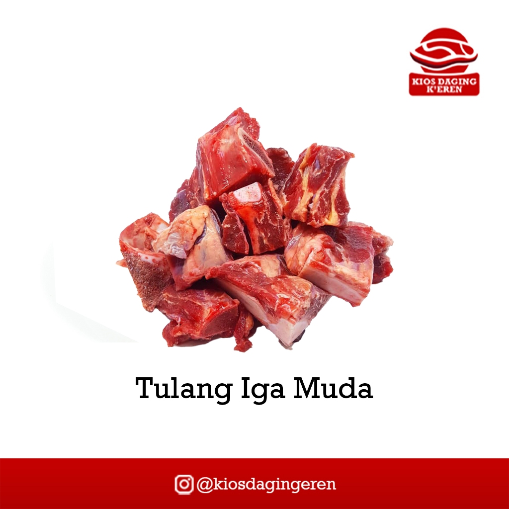 

Tulang Iga Muda