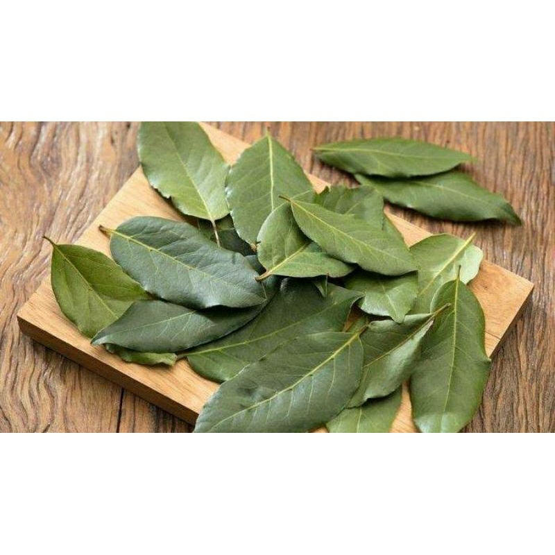 

Daun salam wangi murni 30 Lembar