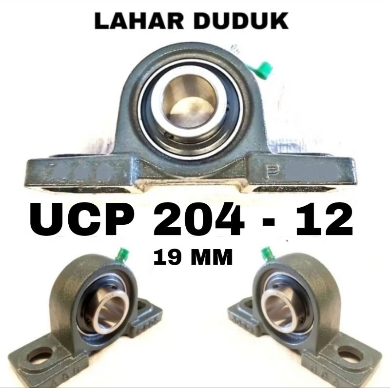 Lahar Bearing Duduk Pillowblock UCP 204 - 12 19MM