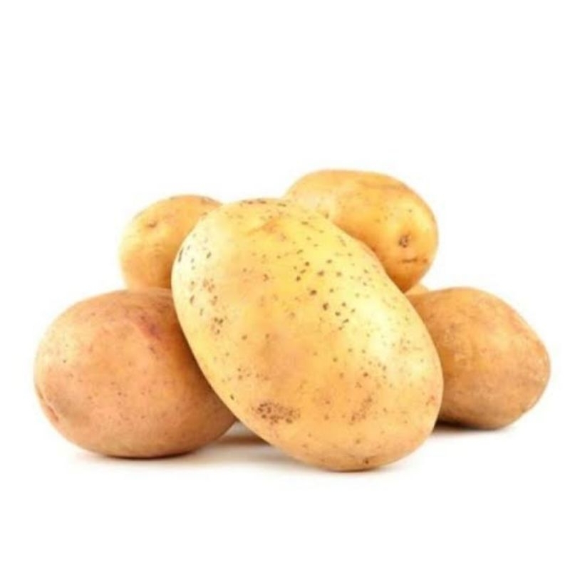 

kentang kuning besar